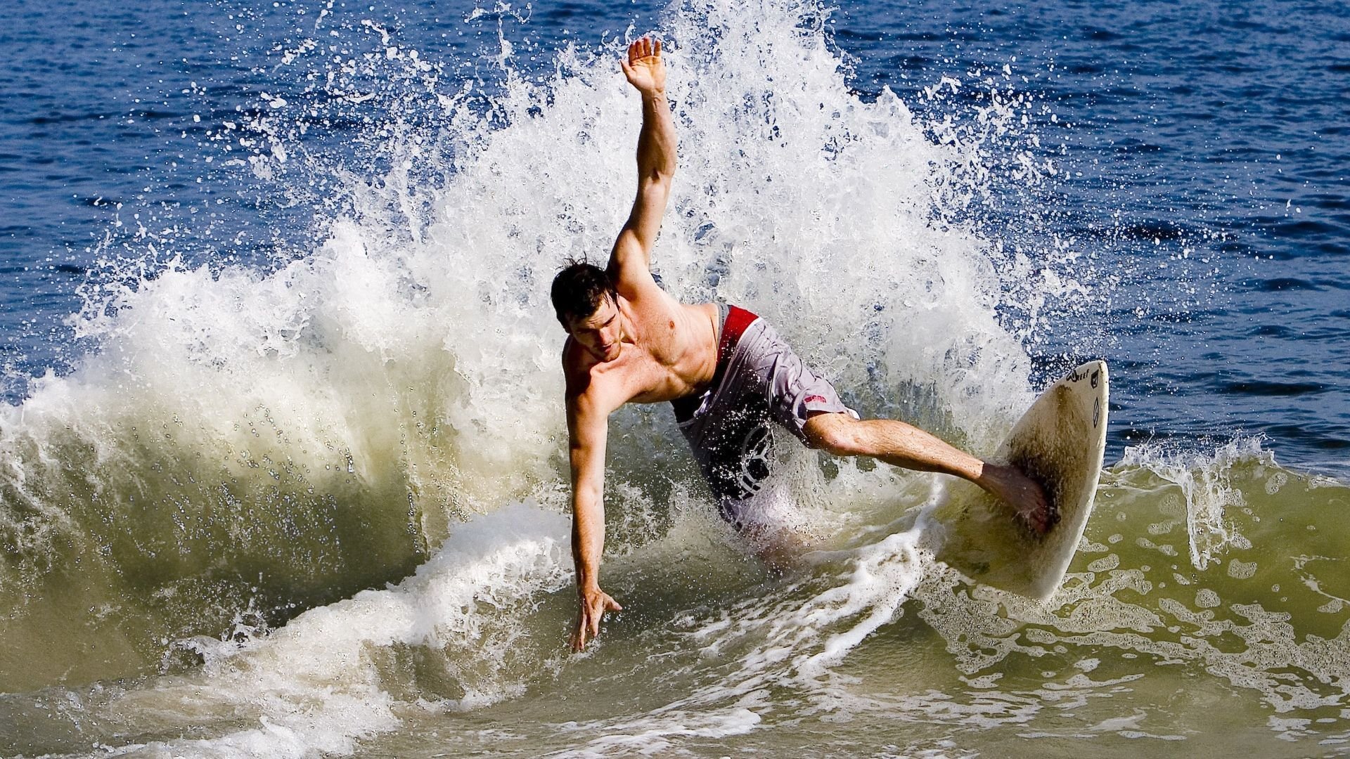 _猛龙突如其来,逆转战术卓越_,猛龙反击